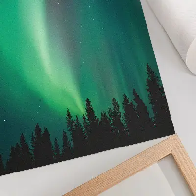 Decorative poster aurora green trees magical nature forest scene