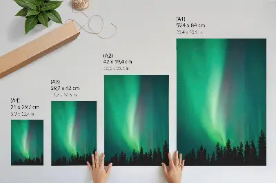 Decorative poster aurora green trees magical nature forest scene