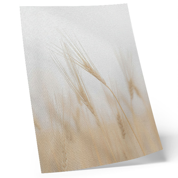 Poster Minimalist elegance of ears of grain