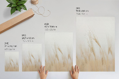 Poster Minimalist elegance of ears of grain