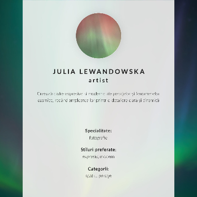Premium wall art Aurora Borealis over a night landscape full of stars