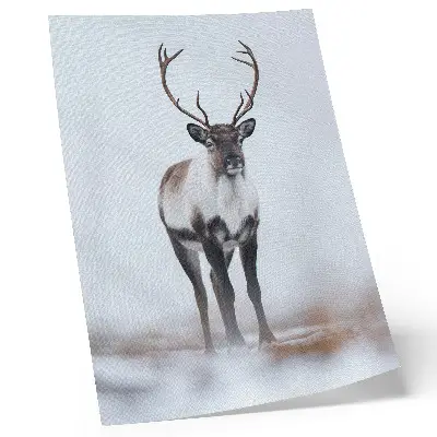 Decorative poster reindeer in a winter scenery with warm shades in a modern style