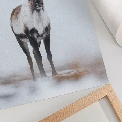 Decorative poster reindeer in a winter scenery with warm shades in a modern style