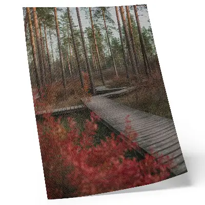 Premium wall art wooden path through an autumn forest with colorful trees