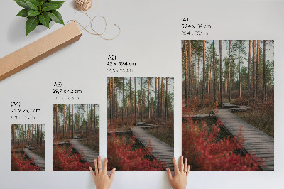 Premium wall art Wooden path forest trees autumn colors