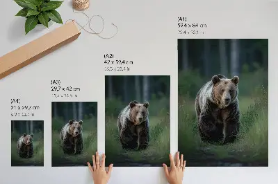 Proud bear in a forest poster proud bear in a forest setting