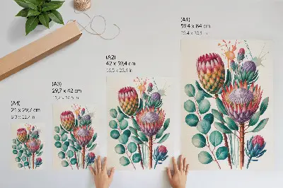 Exotic protea flowers and green leaves poster exotic protea flowers with green leaves