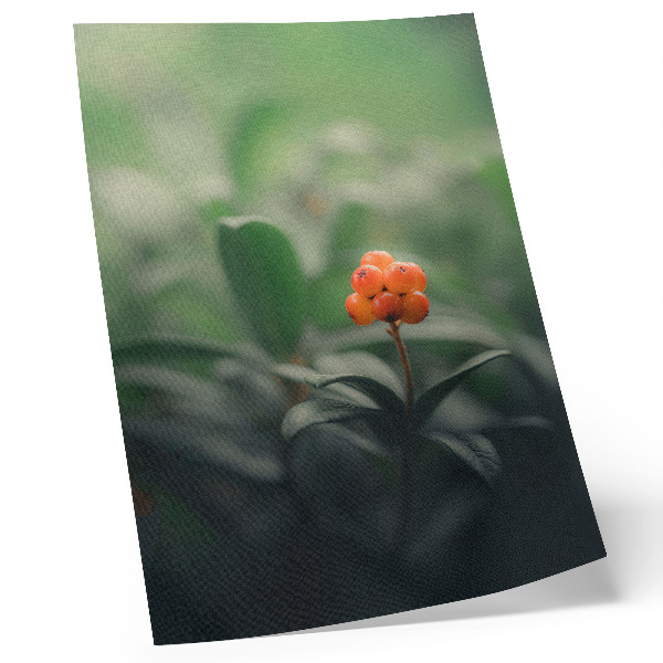 Art print Orange berries on a green background