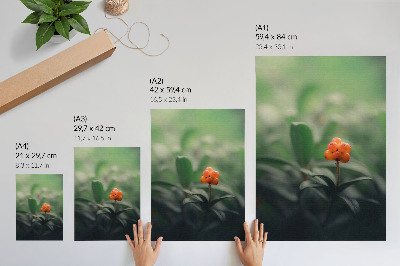 Art print Orange berries on a green background