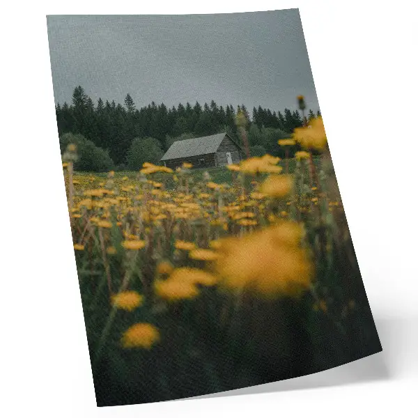 Premium wall art rustic cottage forest with yellow flower blur
