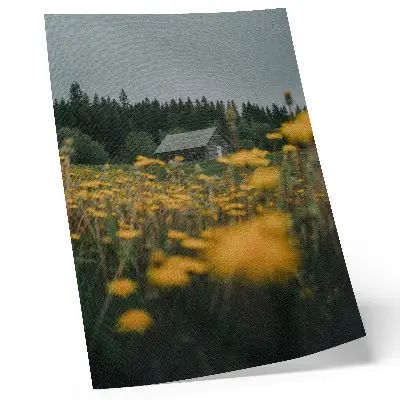 Premium wall art rustic cottage forest with yellow flower blur