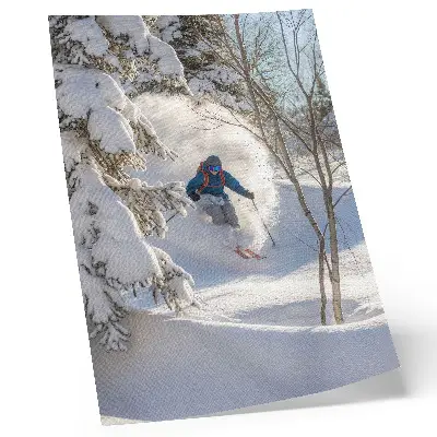 Art print skier in a snowy winter forest