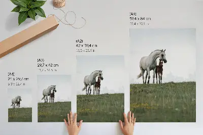 Horse wall art the beauty of nature with a soothing aesthetic