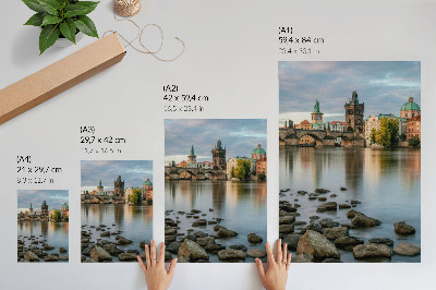Decorative poster A picturesque panorama of the city with a bridge over the river