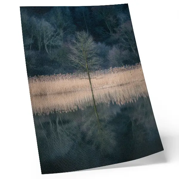 Art print single tree reflection in a foggy lake