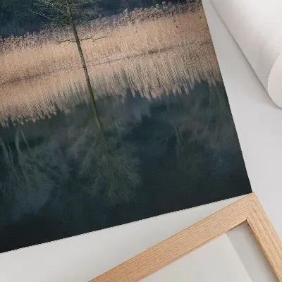 Art print single tree reflection in a foggy lake