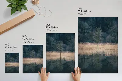 Art print single tree reflection in a foggy lake