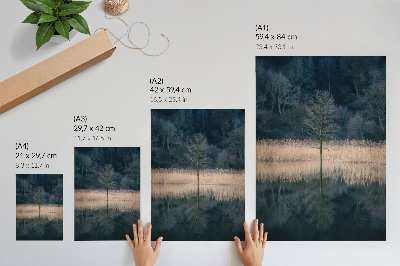 Art print Single tree reflection lake fog
