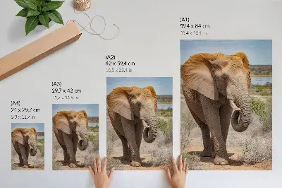 Premium wall art majestic African elephant on the savannah