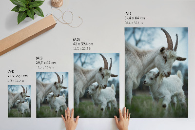 Poster Goats against the backdrop of nature, full of peace and harmony