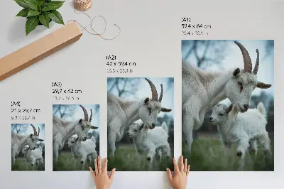 Poster goats in a peaceful natural setting