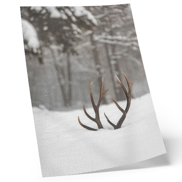 Premium wall art Winter landscape with antlers in the snow