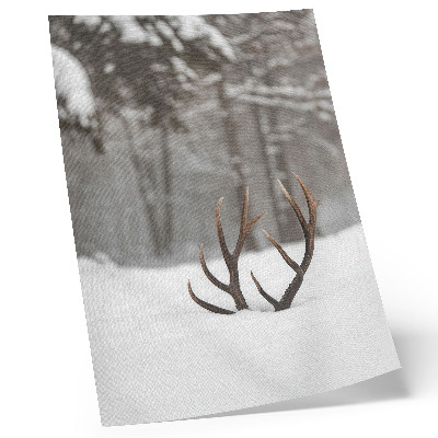 Premium wall art Winter landscape with antlers in the snow