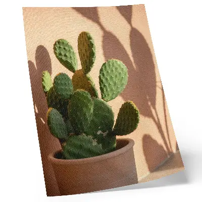 Cactus in a pot poster with shadows and delicate calming colors