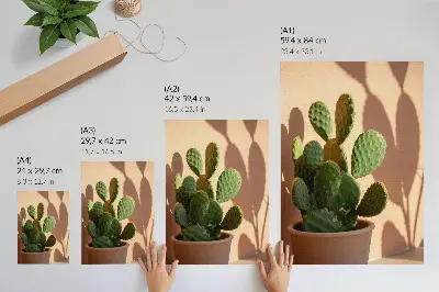 Cactus in a pot poster with shadows and delicate calming colors