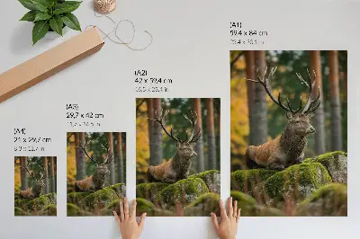Deer in a forest poster a majestic animal in a woodland setting