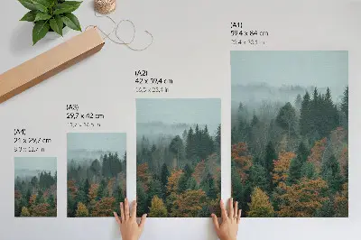 Poster green trees in a foggy forest with orange leaves