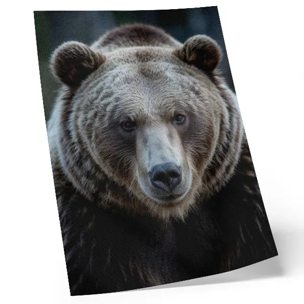 Bear portrait poster realistic, calm, and strong