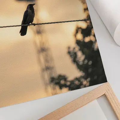 Premium bird on a wire wall art evening sky with a delicate background