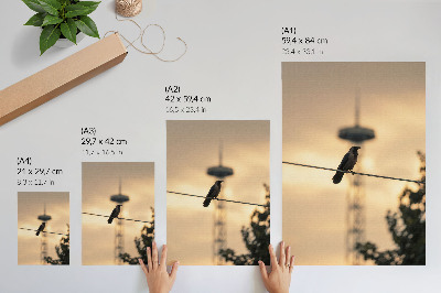 Premium wall art Bird on a wire, evening sky, delicate background