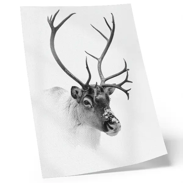 Majestic Reindeer Wall Art black and white contrast premium print