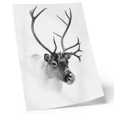 Majestic Reindeer Wall Art black and white contrast premium print