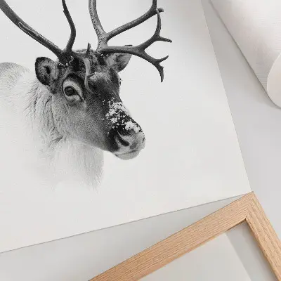Majestic Reindeer Wall Art black and white contrast premium print