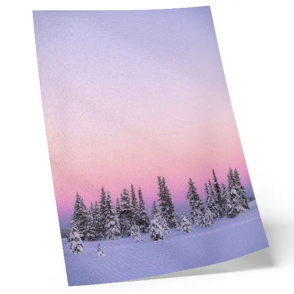 Decorative poster winter trees with a moody pastel sky