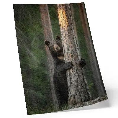 Premium wall art realistic bear in the forest composition