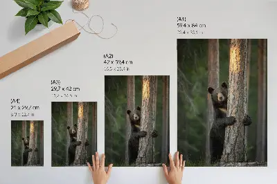 Premium wall art realistic bear in the forest composition