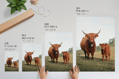 Art print Rustic cattle against a background of greenery and trees