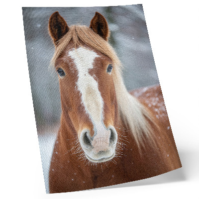 Art print Horse portrait winter peace naturalness harmony