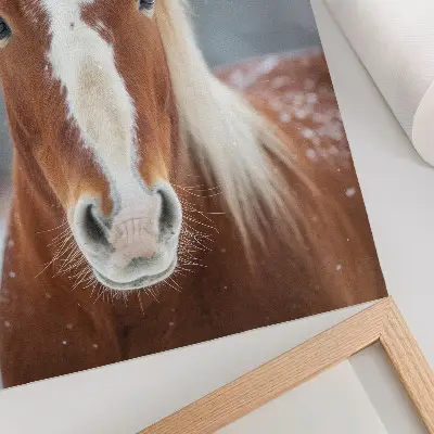 Art print horse portrait featuring winter peace and natural harmony