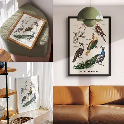 Art print with elegant birds and feathers in diverse colors