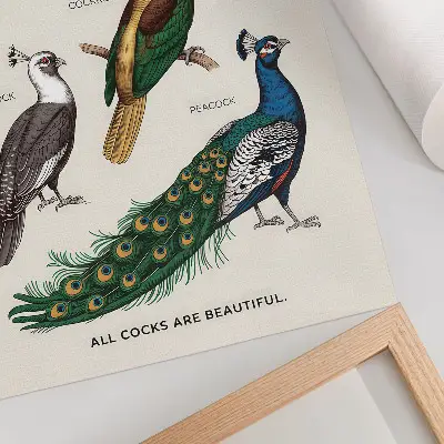 Art print with elegant birds and feathers in diverse colors