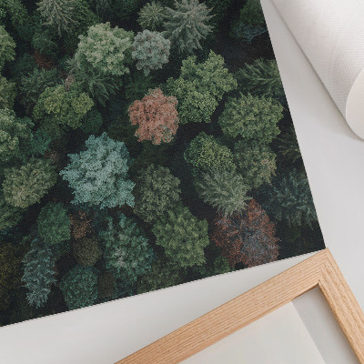 Premium wall art Forest landscape from above with various leaf colors