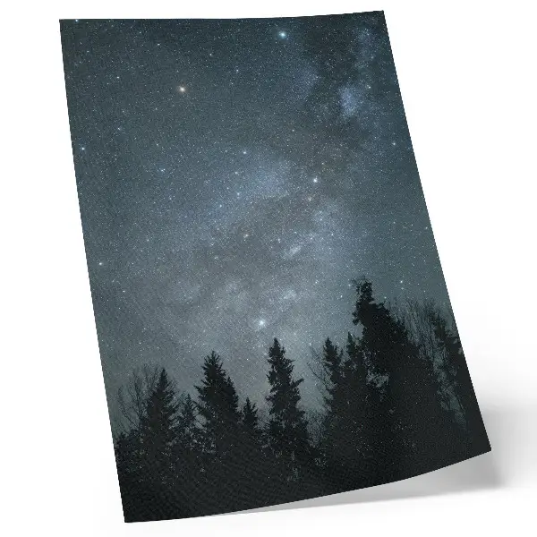 Night sky and tree silhouettes poster night sky and tree silhouettes