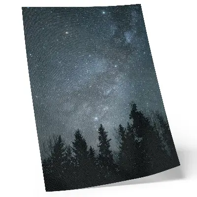 Night sky and tree silhouettes poster night sky and tree silhouettes