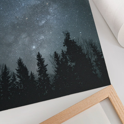 Poster A night sky full of stars and silhouettes of trees