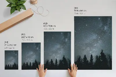 Night sky and tree silhouettes poster night sky and tree silhouettes